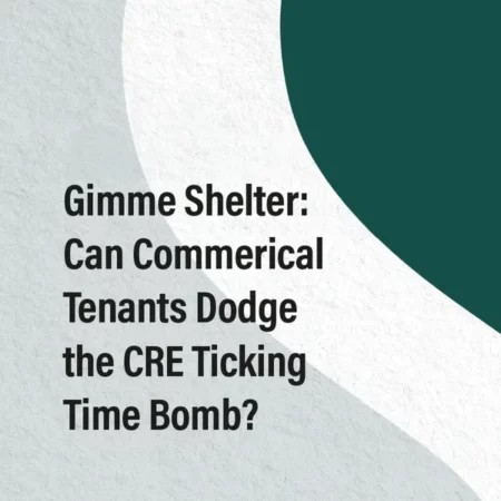 Gimme Shelter Article